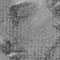 Profil nue